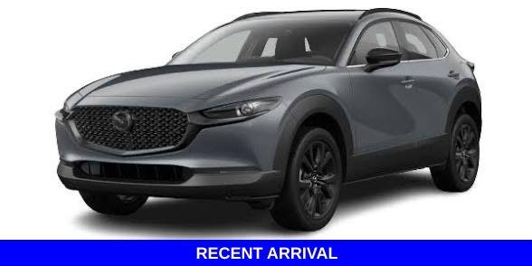 2025 Mazda CX-30 Vehicle Photo in Merrillville, IN 46410