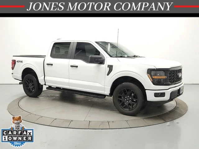 2025 Ford F-150 Vehicle Photo in Savannah, TN 38372