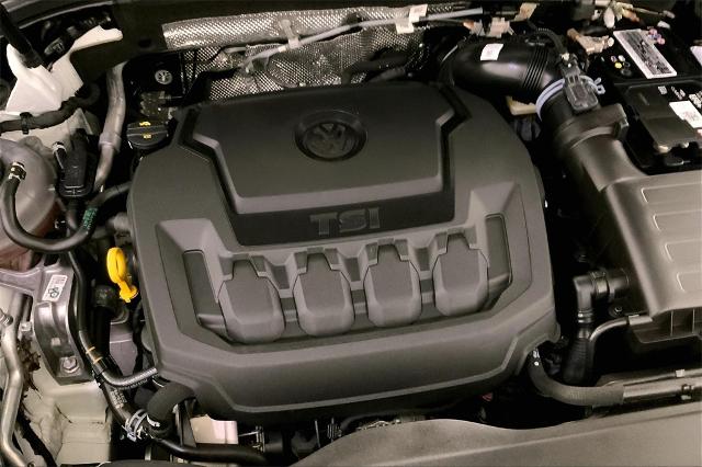 2023 Volkswagen Tiguan Vehicle Photo in Lees Summit, MO 64086