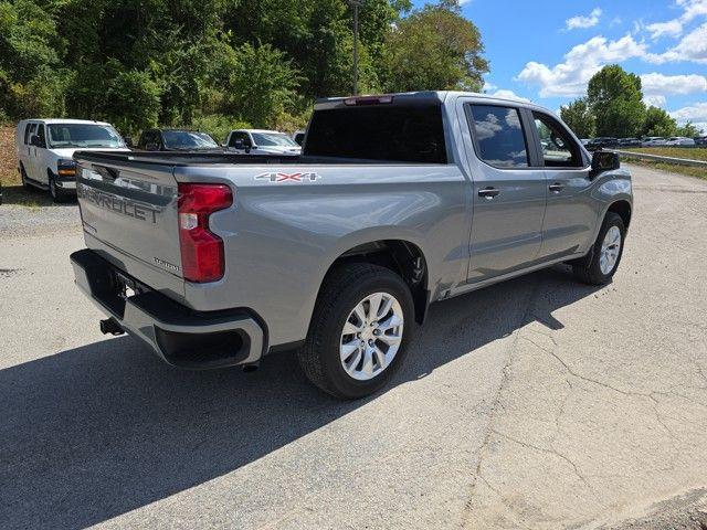 2024 Chevrolet Silverado 1500 Vehicle Photo in Pleasant Hills, PA 15236