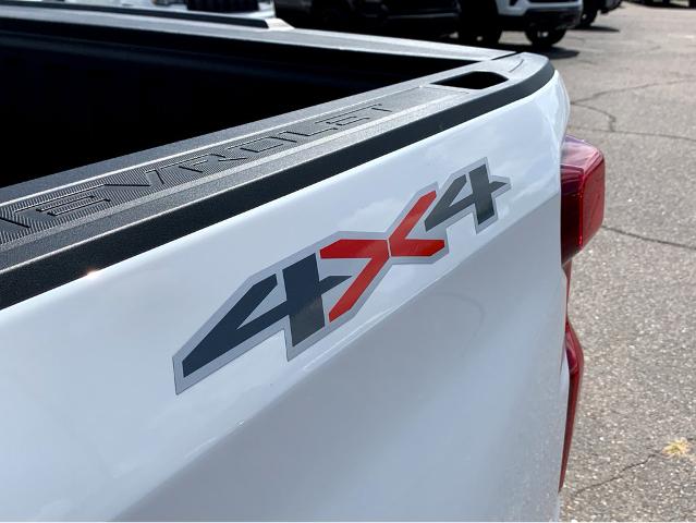 2025 Chevrolet Silverado 1500 Vehicle Photo in BEAUFORT, SC 29906-4218