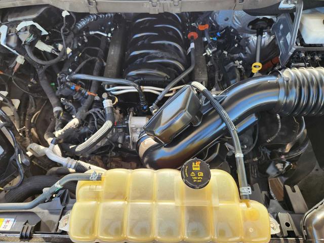 2021 Ford F-150 Vehicle Photo in DENTON, TX 76210-9321