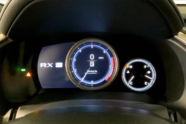 2020 Lexus RX 350 Vehicle Photo in Lees Summit, MO 64086