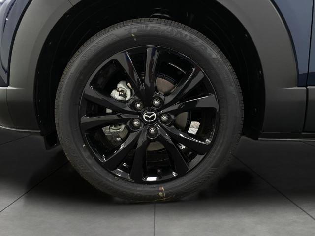 2025 Mazda CX-30 Vehicle Photo in Appleton, WI 54913