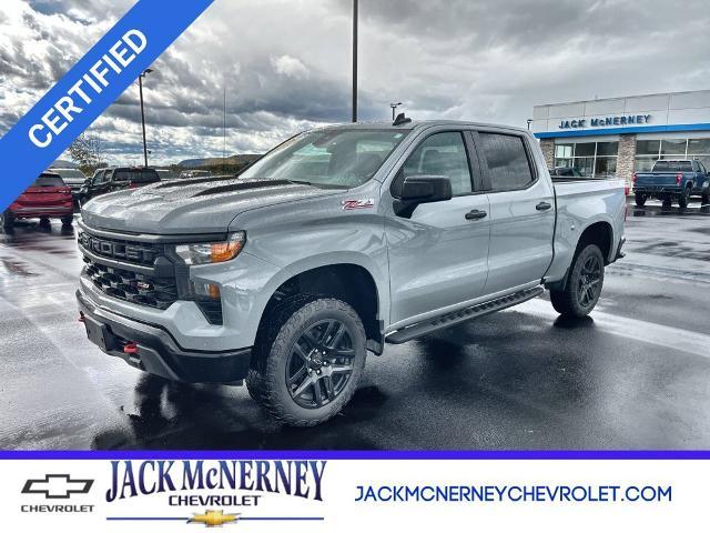 2024 Chevrolet Silverado 1500 Vehicle Photo in TULLY, NY 13159-3159