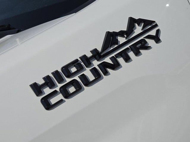 2024 Chevrolet Silverado 2500 HD Vehicle Photo in Decatur, TX 76234
