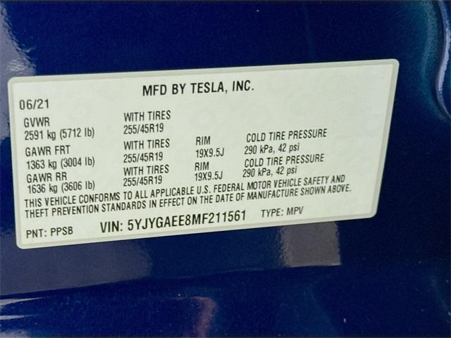 2021 Tesla Model Y Vehicle Photo in Everett, WA 98204