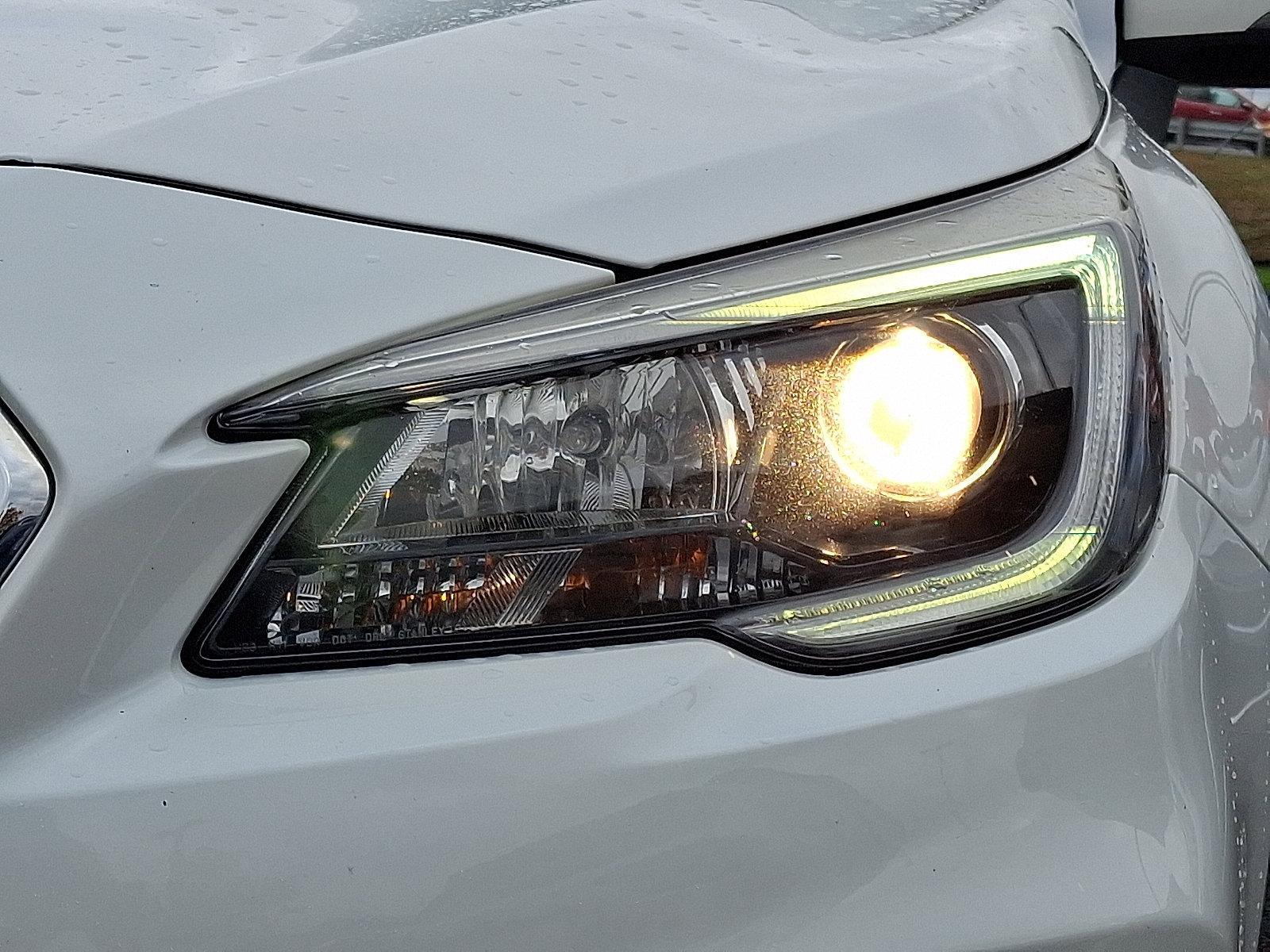 2019 Subaru Outback Vehicle Photo in Easton, PA 18045