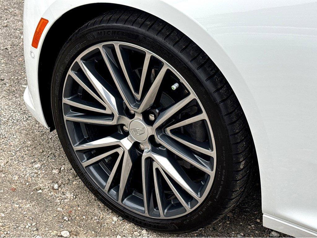 2024 Cadillac CT5 Vehicle Photo in SAVANNAH, GA 31406-4513