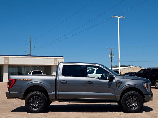 2023 Ford F-150 Vehicle Photo in Weatherford, TX 76087