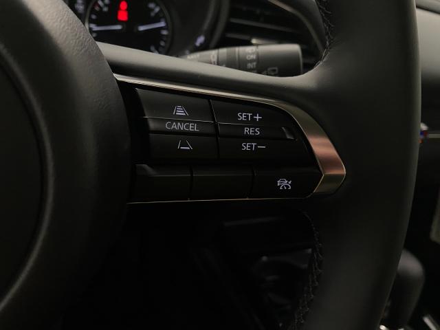 2025 Mazda CX-30 Vehicle Photo in Appleton, WI 54913