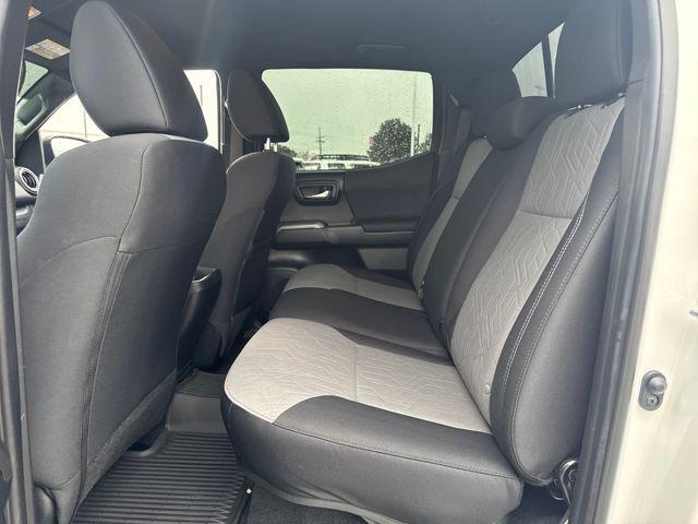 2023 Toyota Tacoma 4WD Vehicle Photo in Jonesboro, AR 72404