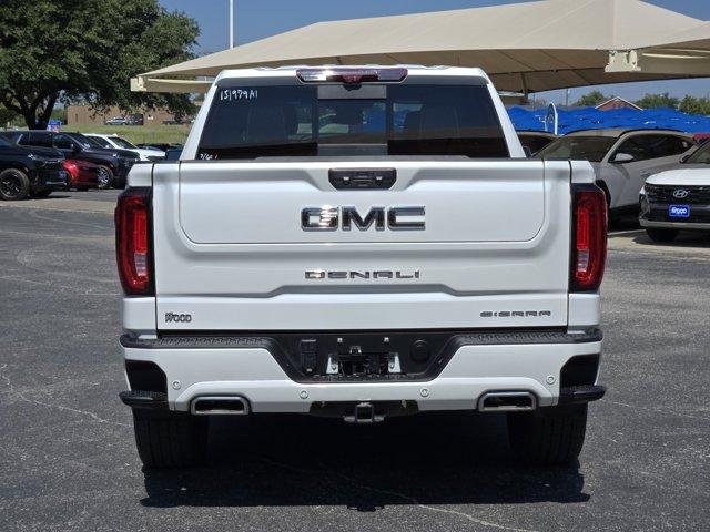 2023 GMC Sierra 1500 Vehicle Photo in Decatur, TX 76234