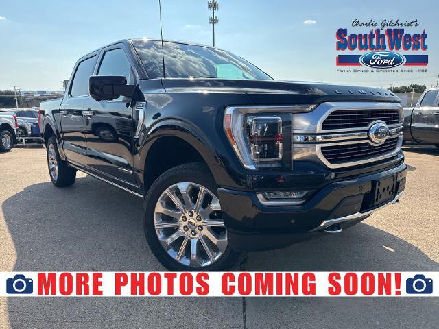 2023 Ford F-150 Vehicle Photo in Weatherford, TX 76087