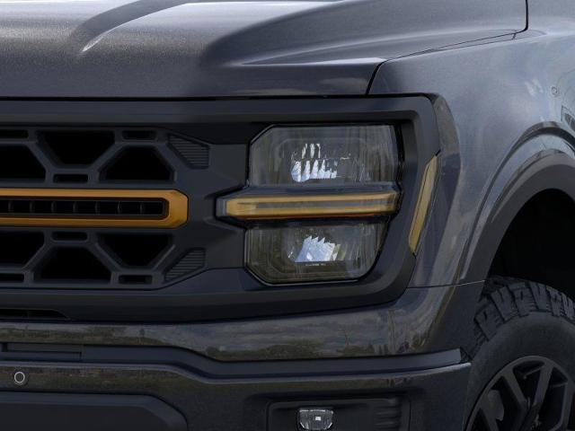 2025 Ford F-150 Vehicle Photo in Weatherford, TX 76087