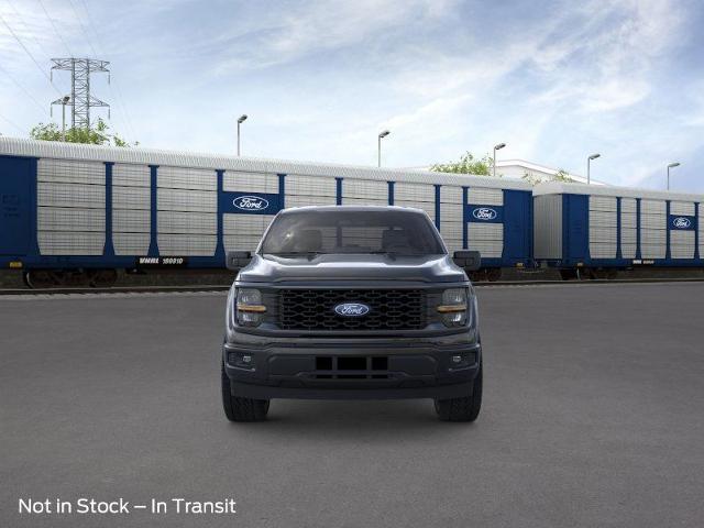 2025 Ford F-150 Vehicle Photo in Weatherford, TX 76087