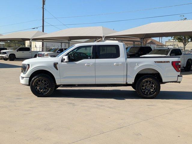 2023 Ford F-150 Vehicle Photo in SELMA, TX 78154-1459