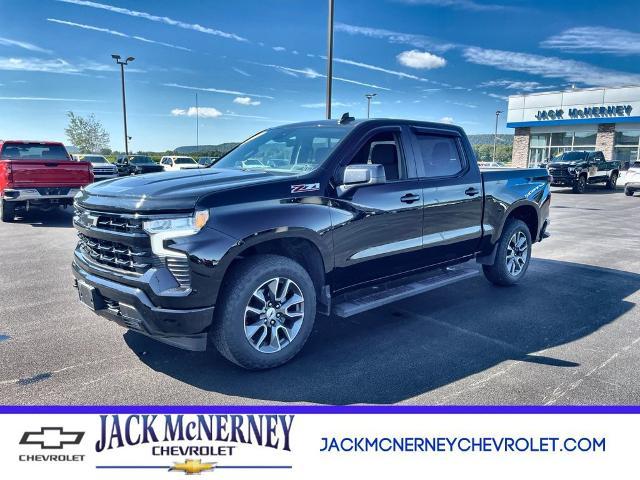 2023 Chevrolet Silverado 1500 Vehicle Photo in TULLY, NY 13159-3159