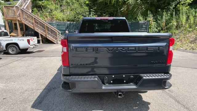 2020 Chevrolet Silverado 1500 Vehicle Photo in PITTSBURGH, PA 15226-1209