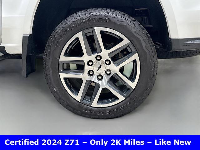 2024 Chevrolet Colorado Vehicle Photo in EVERETT, WA 98203-5662