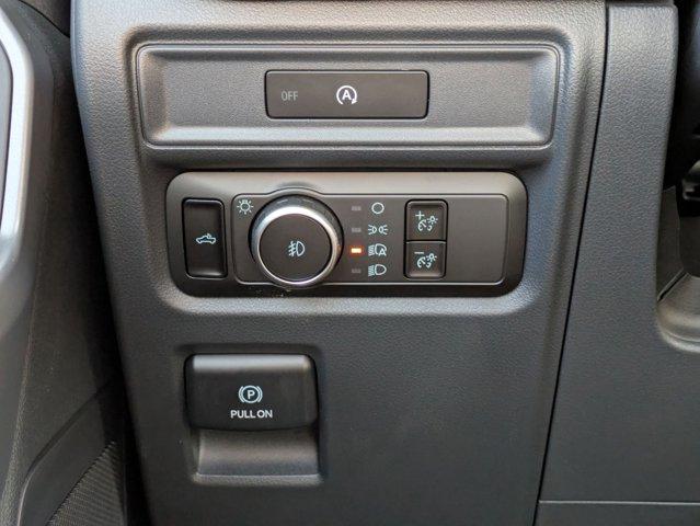 2025 Ford F-150 Vehicle Photo in SELMA, TX 78154-1460
