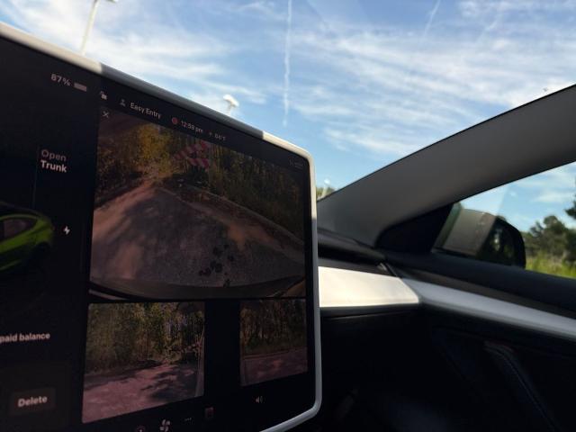 2023 Tesla Model 3 Vehicle Photo in Statesboro, GA 30458