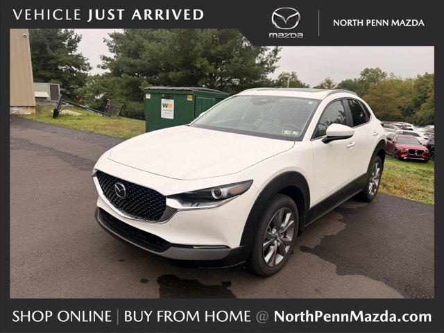 2025 Mazda CX-30 Vehicle Photo in COLMAR, PA 18915