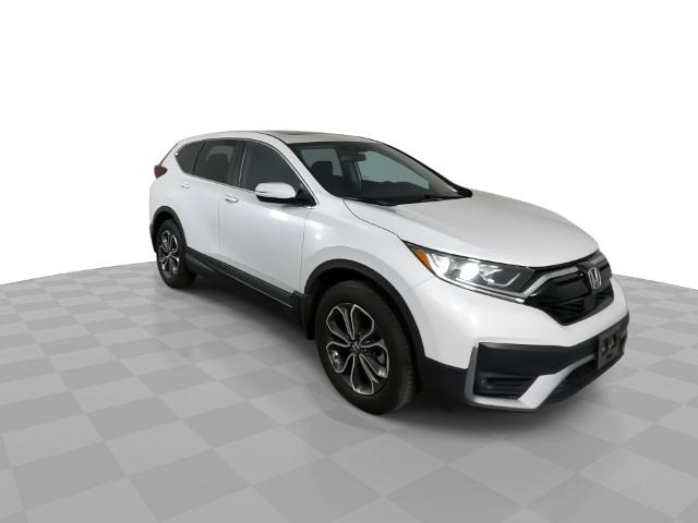 2020 Honda CR-V Vehicle Photo in GILBERT, AZ 85297-0402