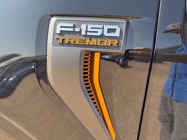 2022 Ford F-150 Vehicle Photo in Weatherford, TX 76087