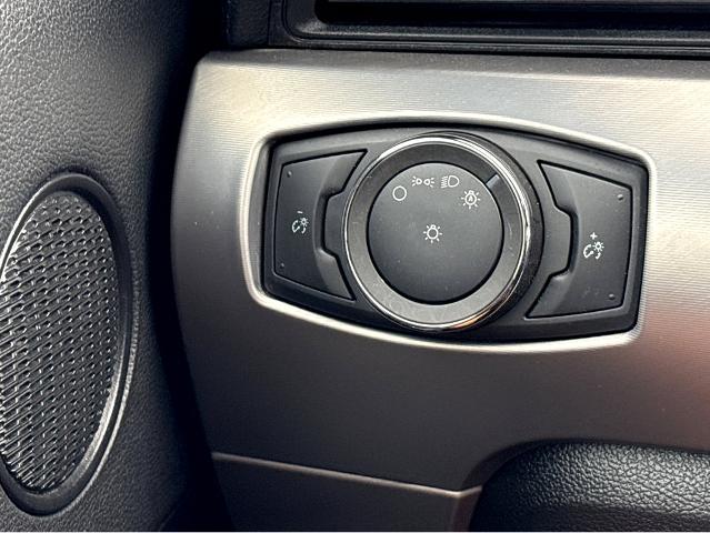 2022 Ford Mustang Vehicle Photo in BEAUFORT, SC 29906-4218