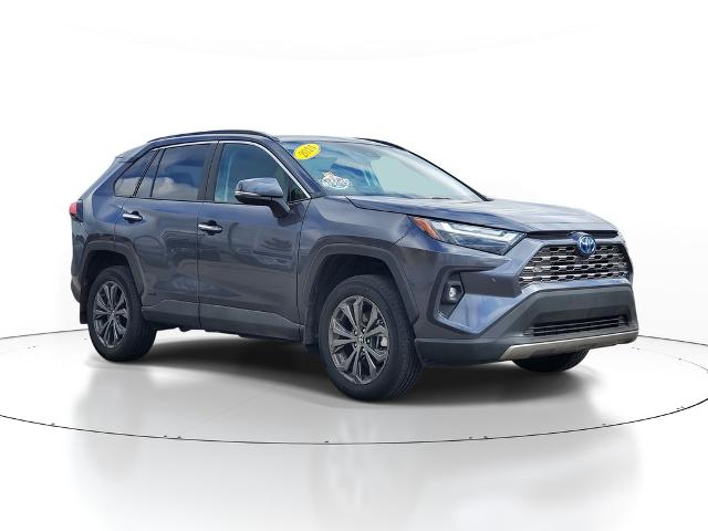 2024 Toyota RAV4 Vehicle Photo in Canton, MI 48188