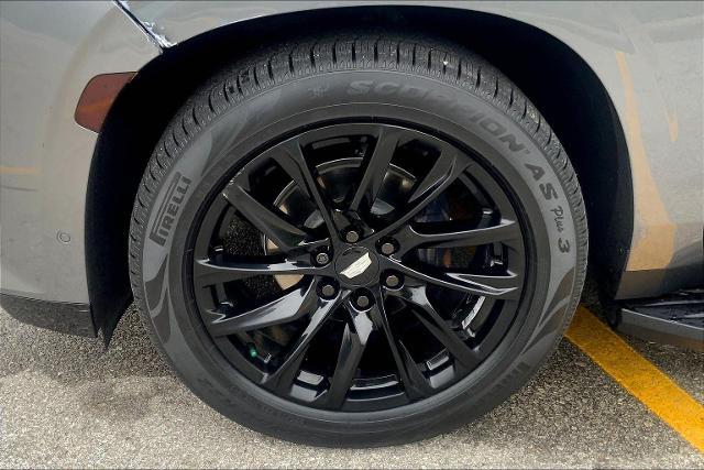 2021 Cadillac Escalade Vehicle Photo in KANSAS CITY, MO 64114-4545