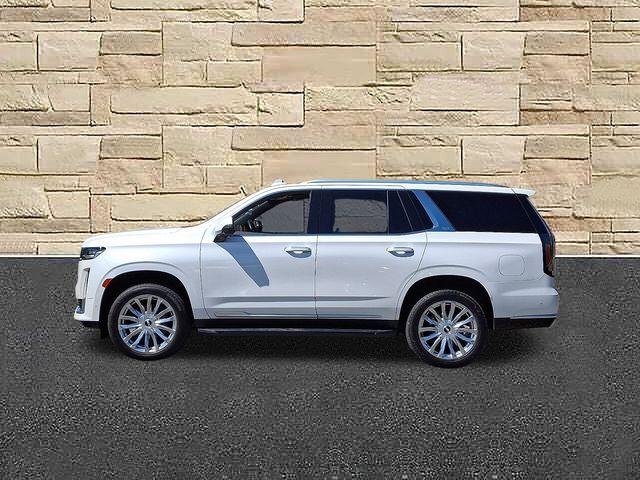 2023 Cadillac Escalade Vehicle Photo in DANBURY, CT 06810-5034