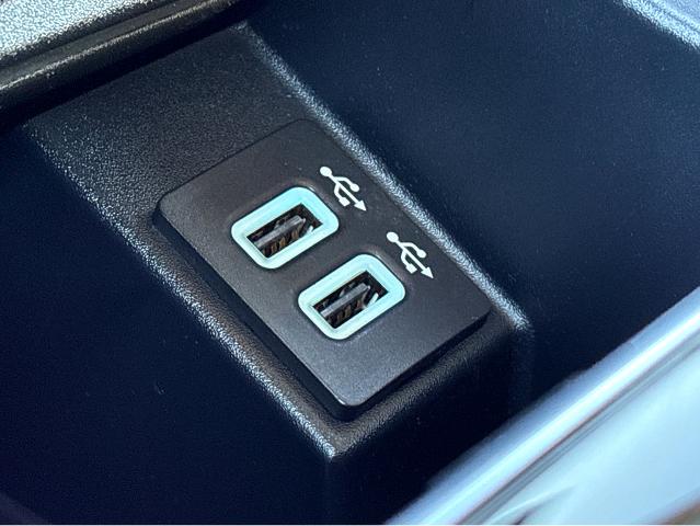 2020 Ford Edge Vehicle Photo in BEAUFORT, SC 29906-4218