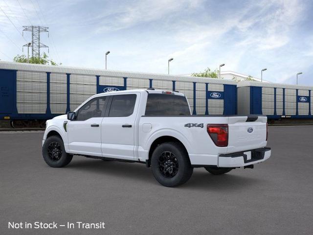 2025 Ford F-150 Vehicle Photo in Weatherford, TX 76087