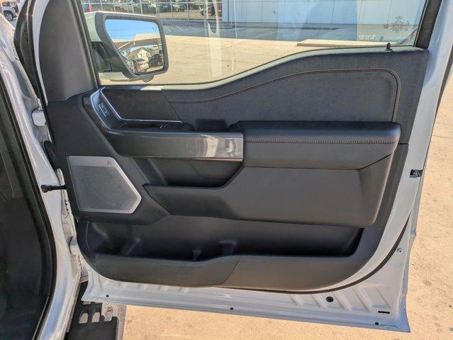 2023 Ford F-150 Vehicle Photo in SELMA, TX 78154-1459