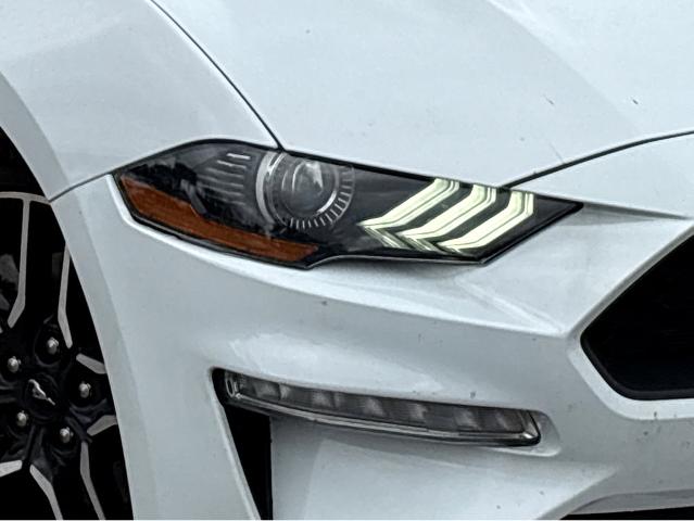 2022 Ford Mustang Vehicle Photo in BEAUFORT, SC 29906-4218