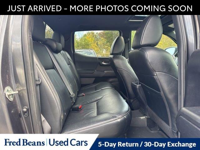2020 Toyota Tacoma 4WD Vehicle Photo in Flemington, NJ 08822