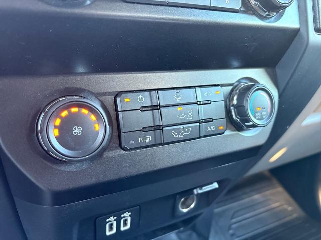 2020 Ford F-150 Vehicle Photo in Brunswick, GA 31525