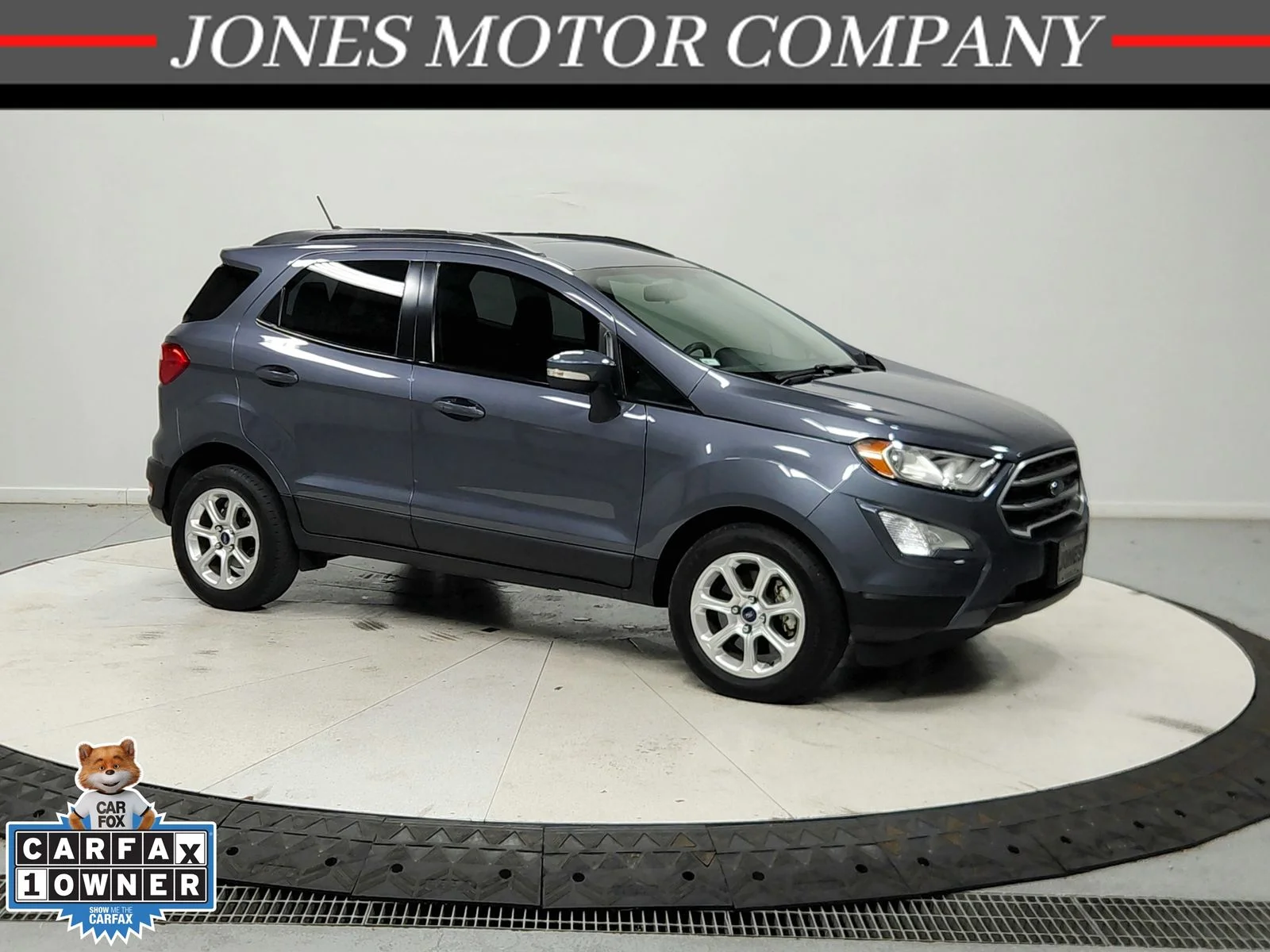2018 Ford EcoSport Vehicle Photo in Savannah, TN 38372