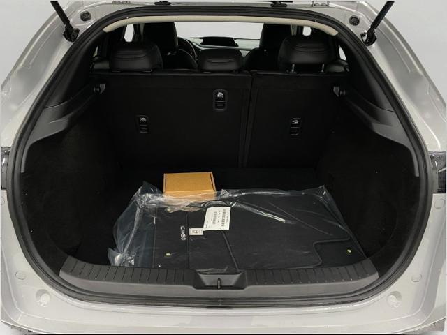 2025 Mazda CX-30 Vehicle Photo in Appleton, WI 54913