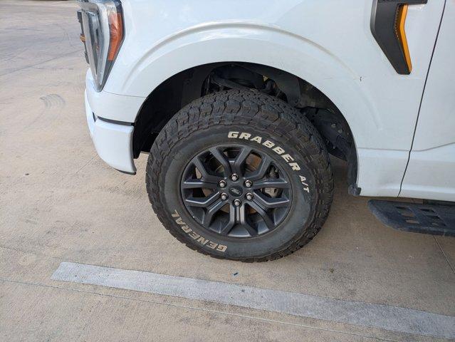 2023 Ford F-150 Vehicle Photo in SELMA, TX 78154-1459