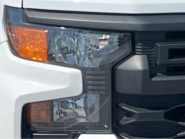 2024 Chevrolet Silverado 1500 Vehicle Photo in POOLER, GA 31322-3252