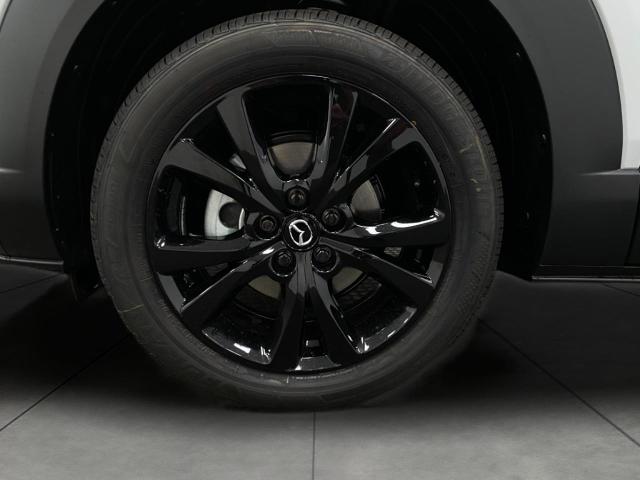 2025 Mazda CX-30 Vehicle Photo in Appleton, WI 54913