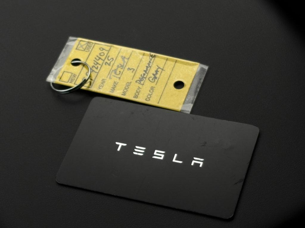 2025 Tesla Model 3 Vehicle Photo in POOLER, GA 31322-3252