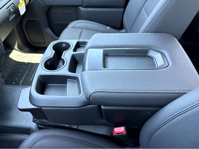 2025 Chevrolet Silverado 1500 Vehicle Photo in BEAUFORT, SC 29906-4218