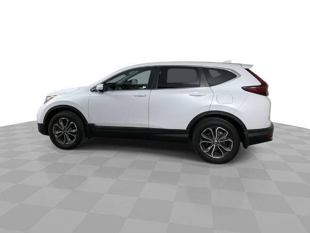 2020 Honda CR-V Vehicle Photo in GILBERT, AZ 85297-0402