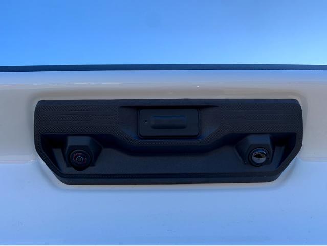 2025 Chevrolet Silverado 1500 Vehicle Photo in BEAUFORT, SC 29906-4218