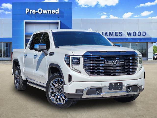 2024 GMC Sierra 1500 Vehicle Photo in DENTON, TX 76210-9321