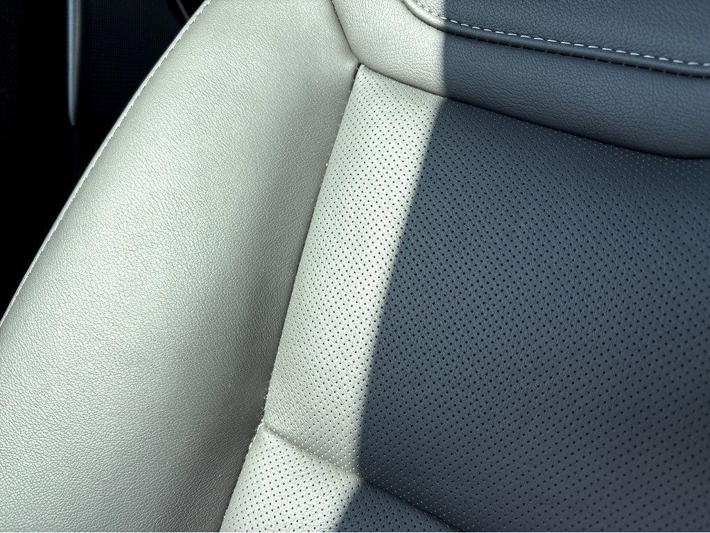2025 Cadillac XT5 Vehicle Photo in SAVANNAH, GA 31406-4513